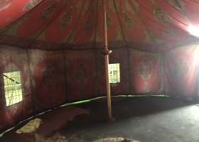 Custom Tent